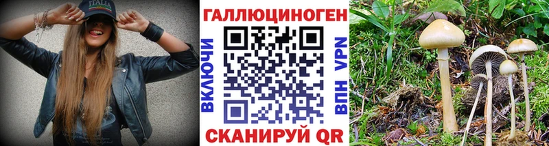 Галлюциногенные грибы ЛСД  Купить закладки  Железноводск 