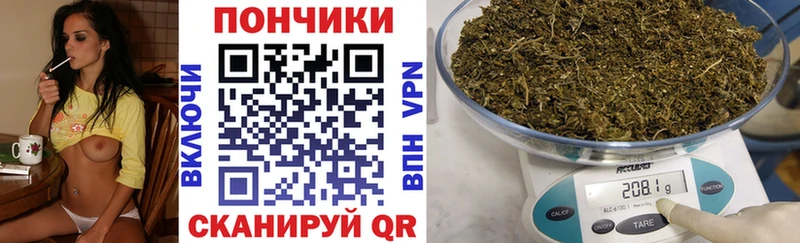 Конопля OG Kush  Купить  Железноводск 